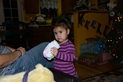 DSC_1001 (Large).JPG